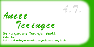 anett teringer business card